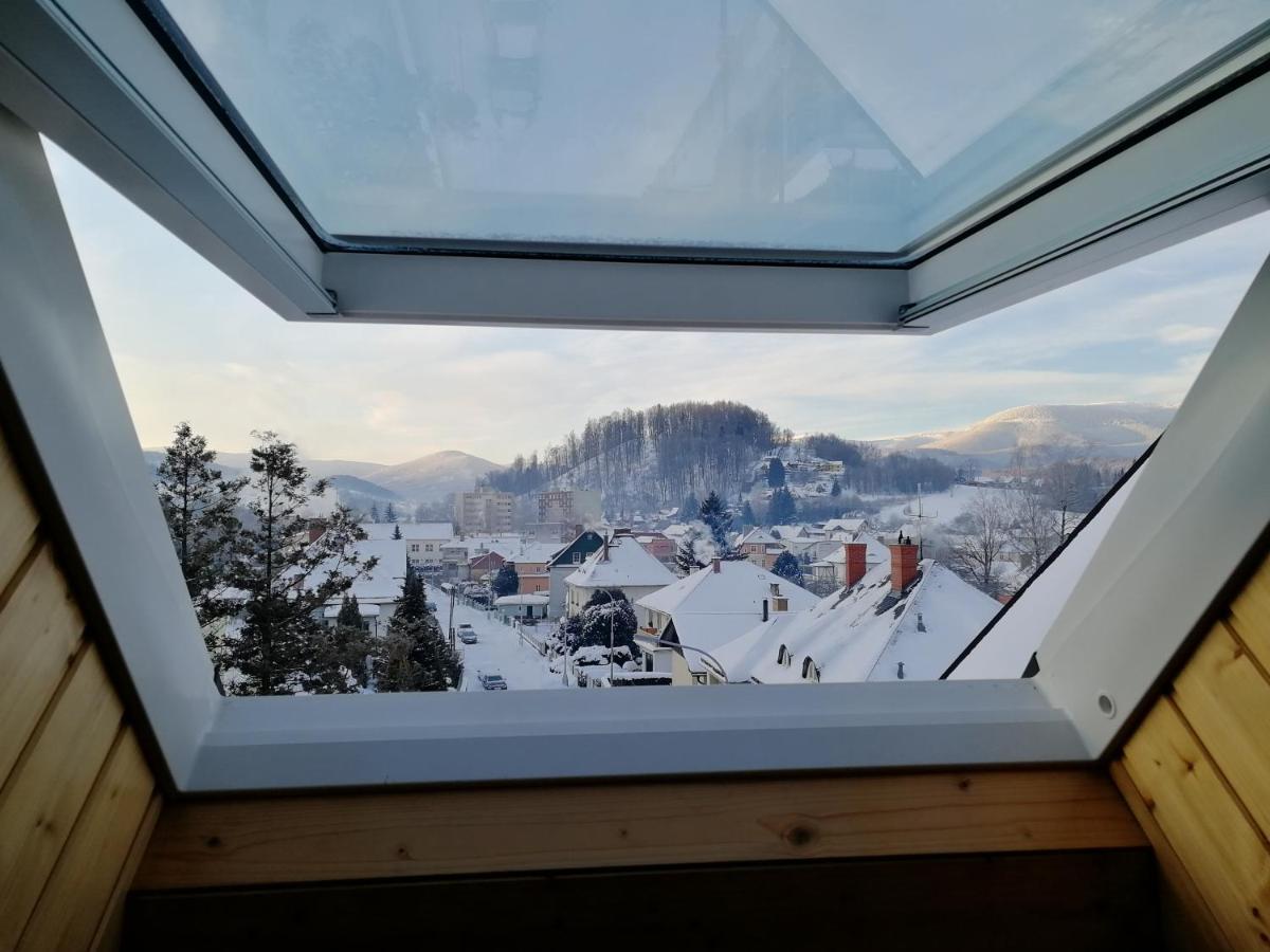 Vila U Parku Есеник Экстерьер фото